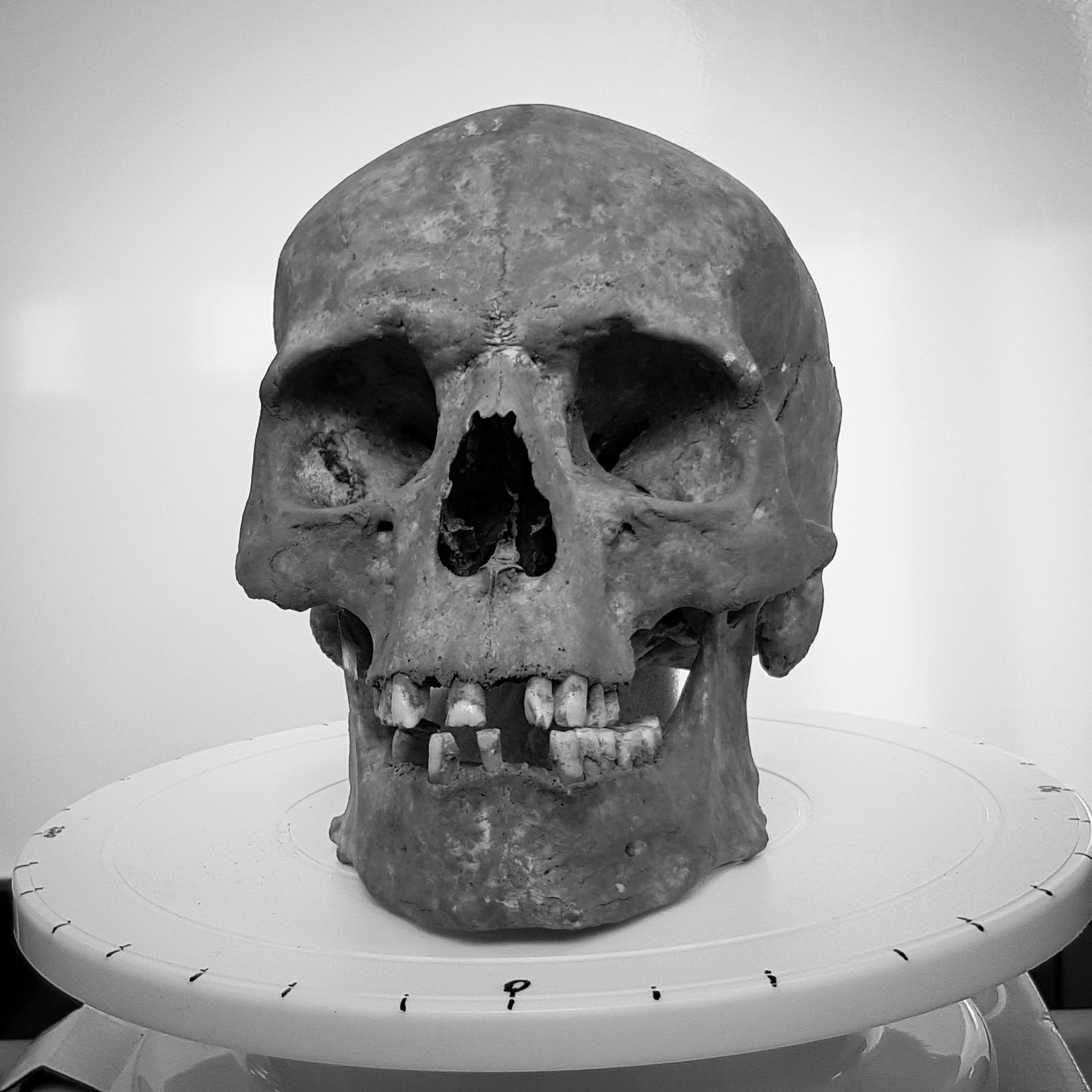 Skull_on_turntable.jpg