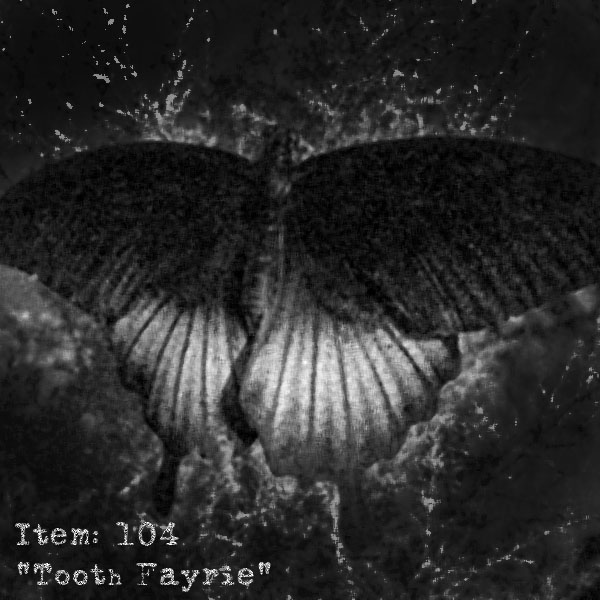 black_butterfly1.jpg