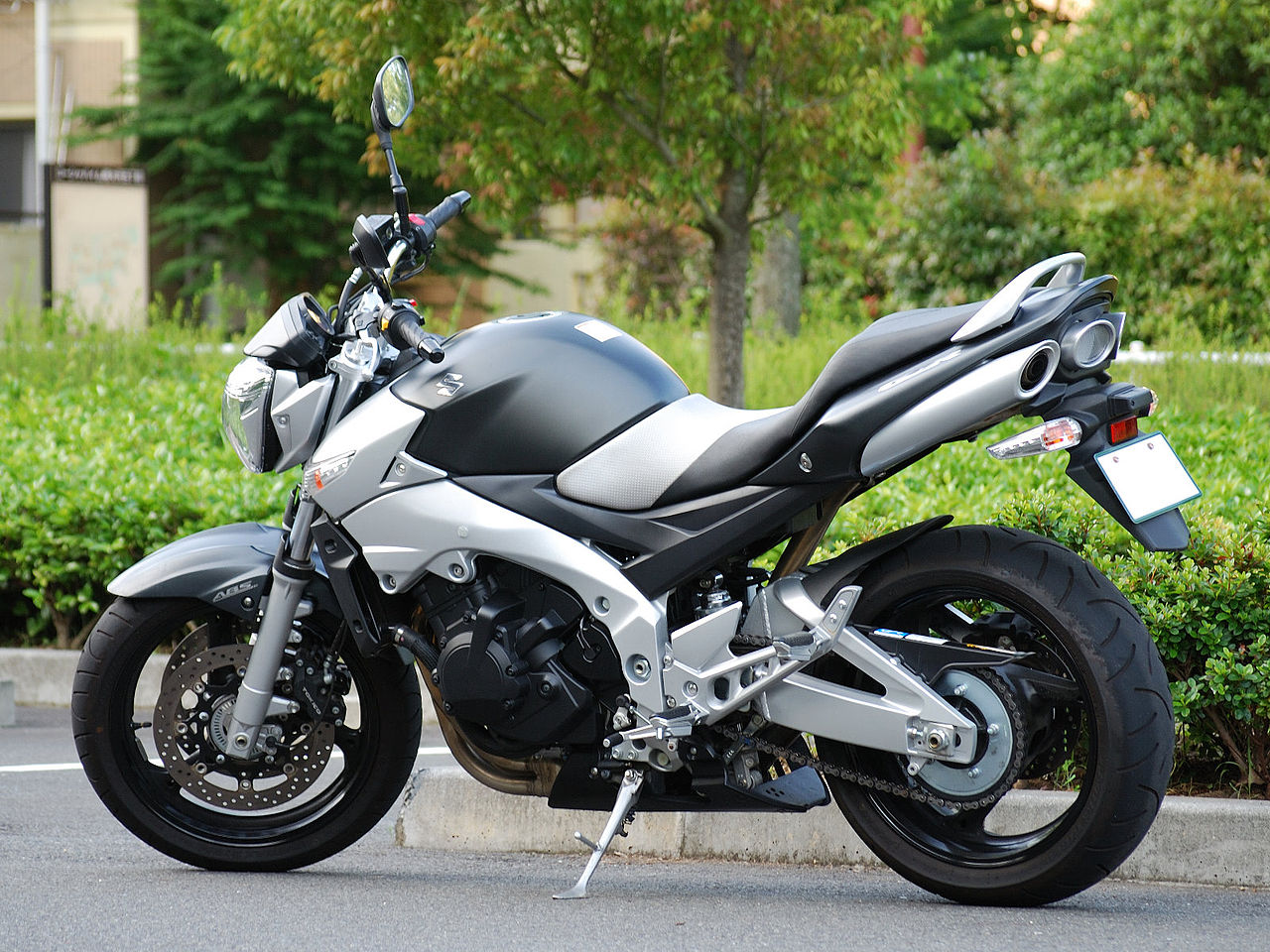 suzuki.jpg