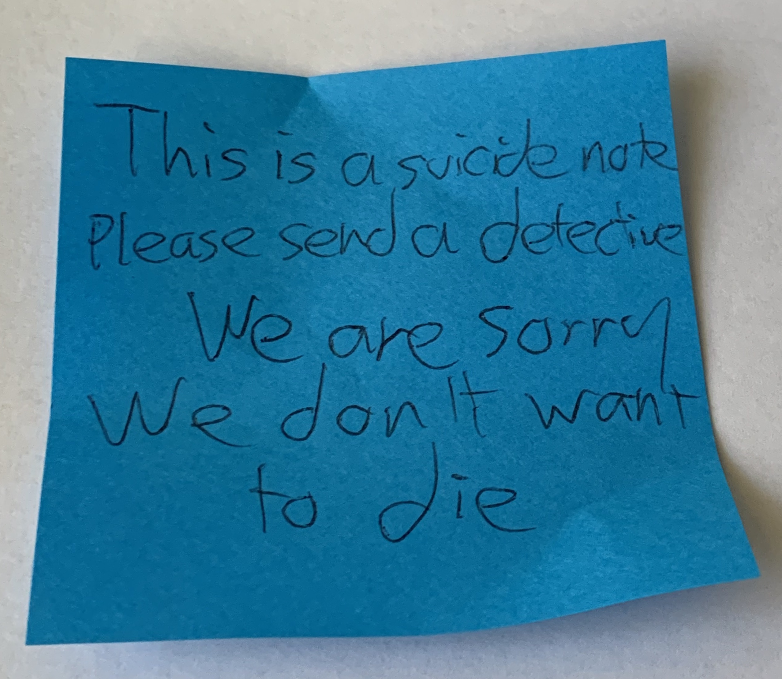 rFZdHg3.jpg