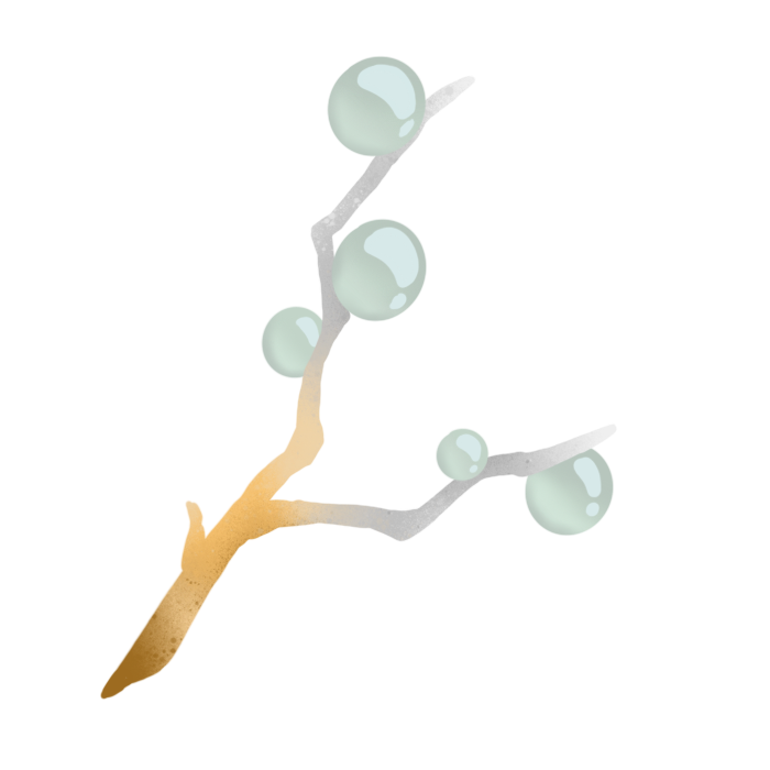 蓬莱玉枝.png
