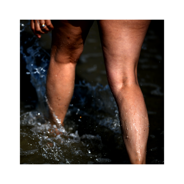 legs.png