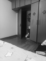 IMG_20251130_143505.jpg