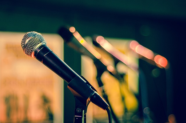 mic-1132528_640.jpg