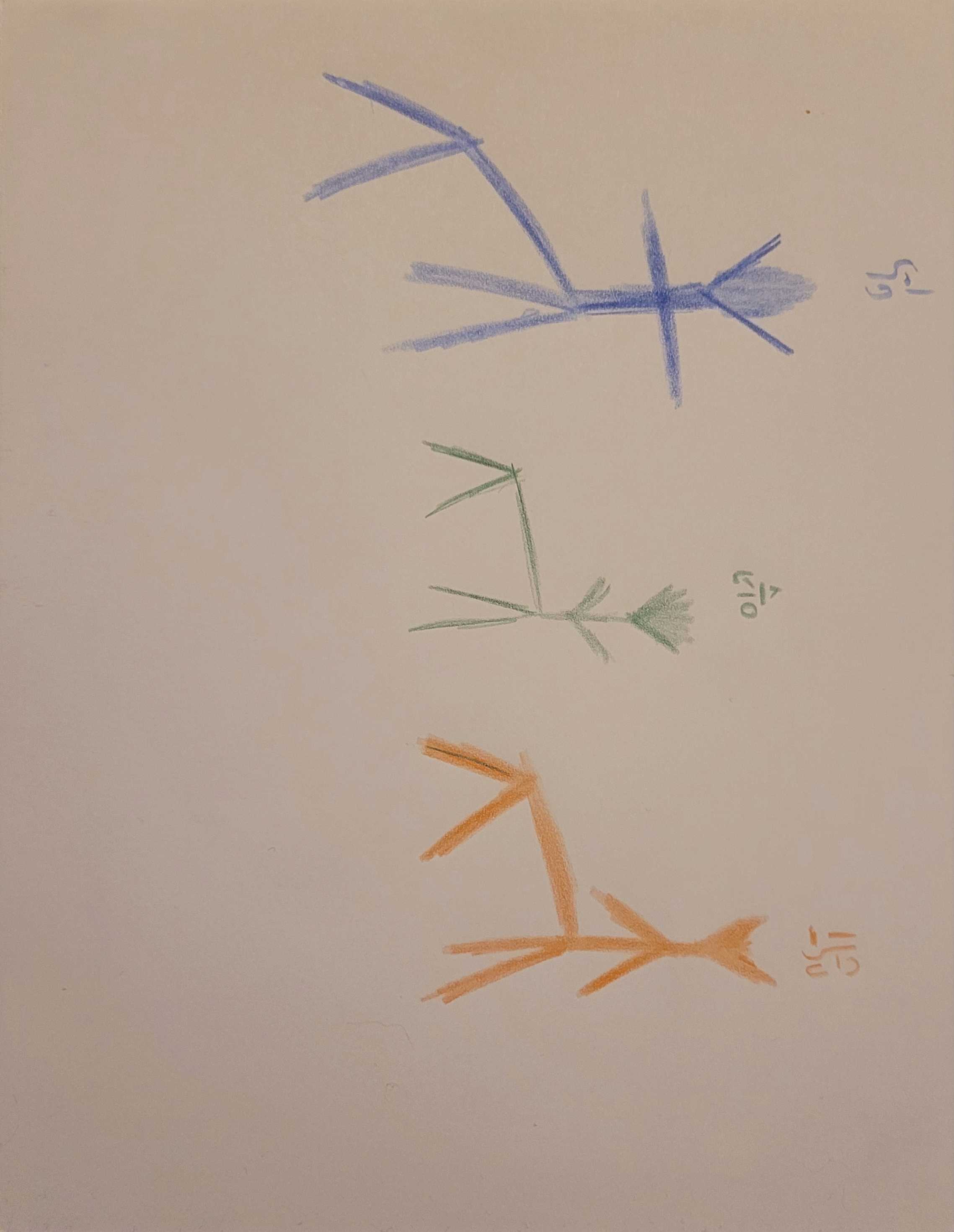 tekton_drawing.jpg