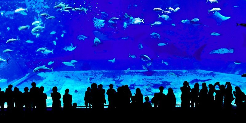 void_aquarium_1.jpg