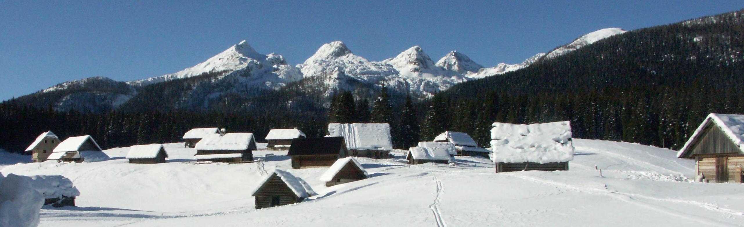 mountain.jpg