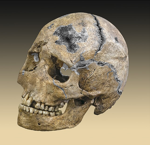 thaumaturgeskull.png