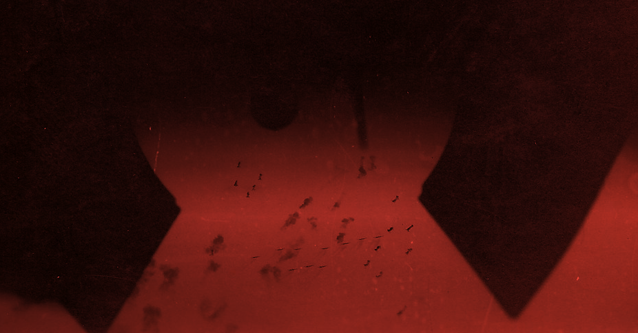 doomsday.png