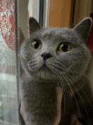75b9f242-ae2f-48f6-bd4d-940f5bb6ea63.png