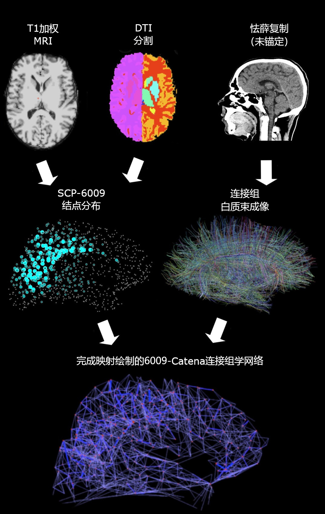 mapping-zhCN-translated.jpg