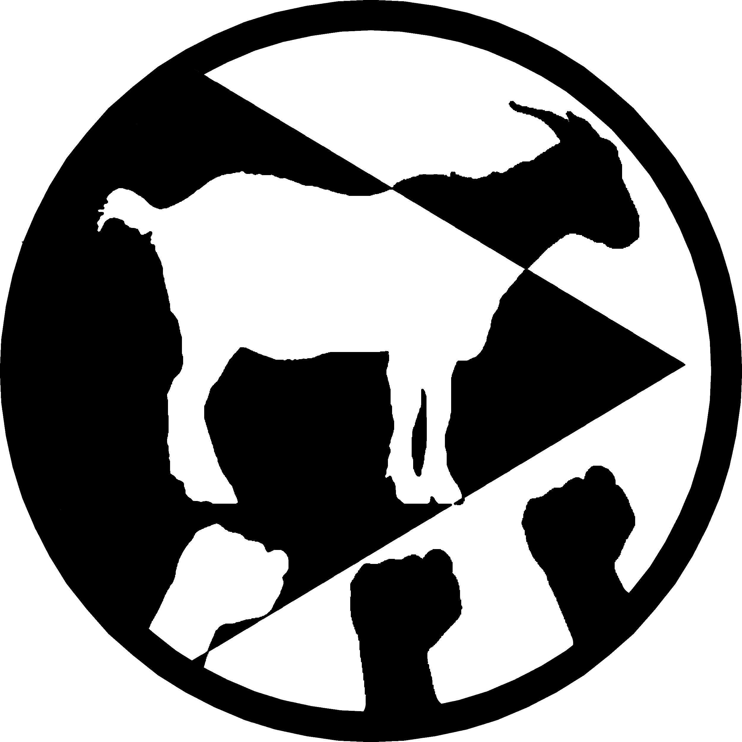 Rho93