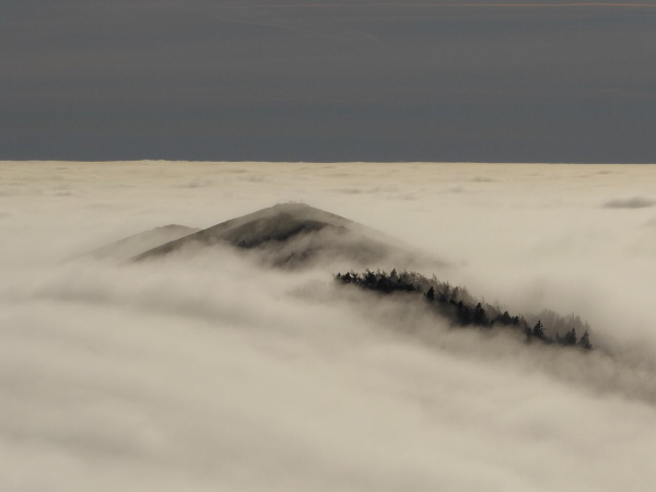 fog.jpg