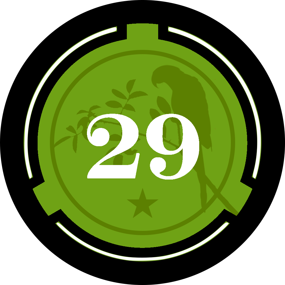 logo29vn