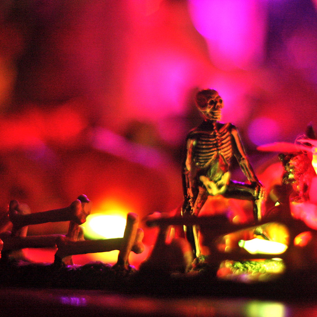 rockandbone.jpg
