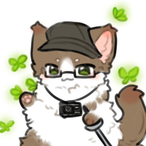 kondrakin毛毛.png