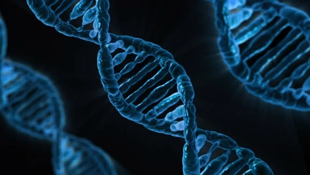 dna-163466__340.jpg