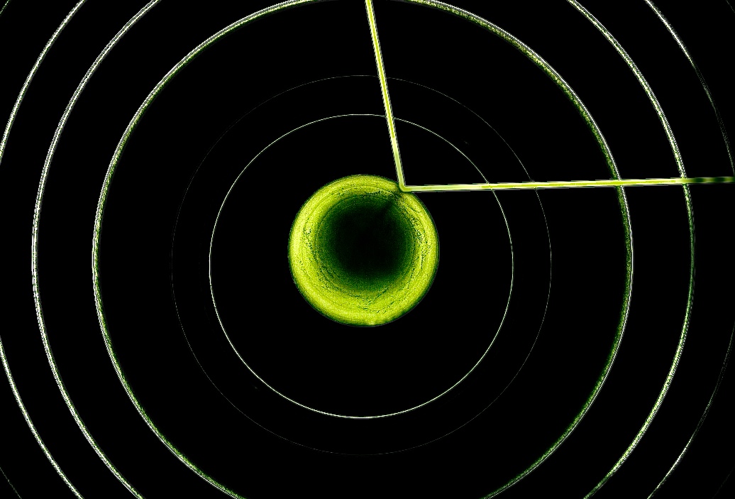 2000-2