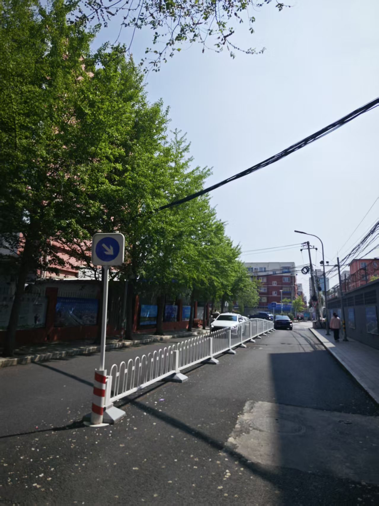 xunzhejiyidexiaojing.jpg