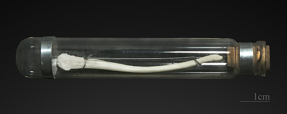 yinjingu