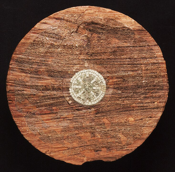 SCP-8000 shield
