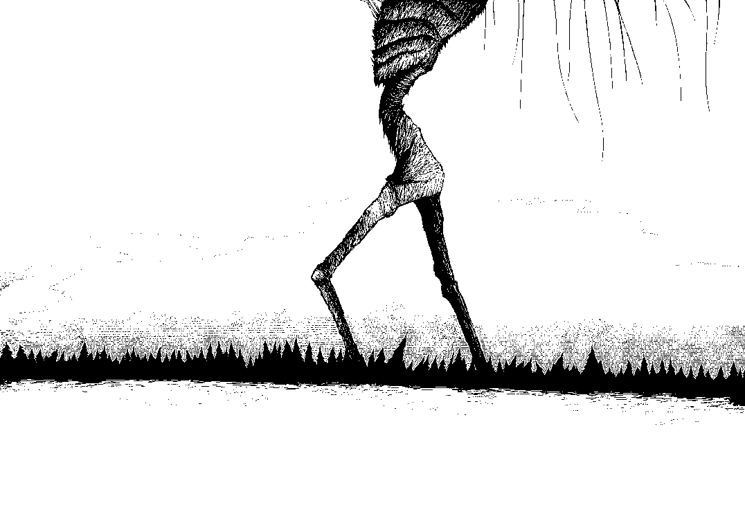 legs.png