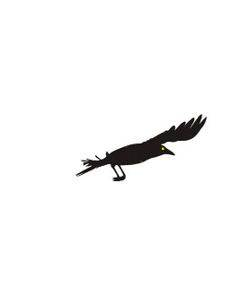 fly2.png