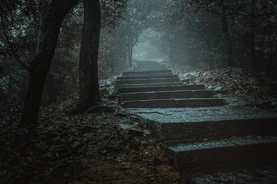 mysterious-5323020_960_720.jpg
