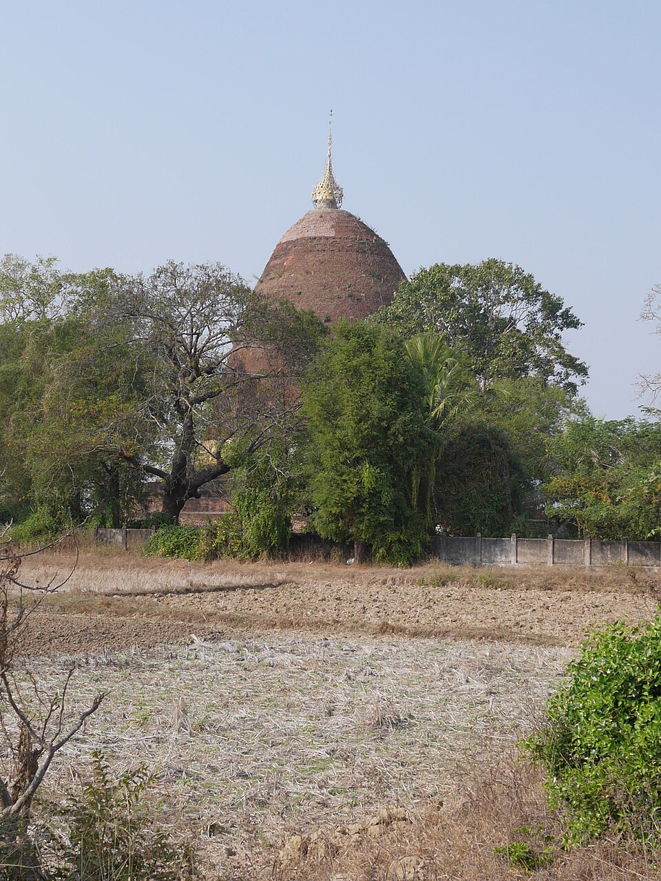 Payama_from_SSE.jpg