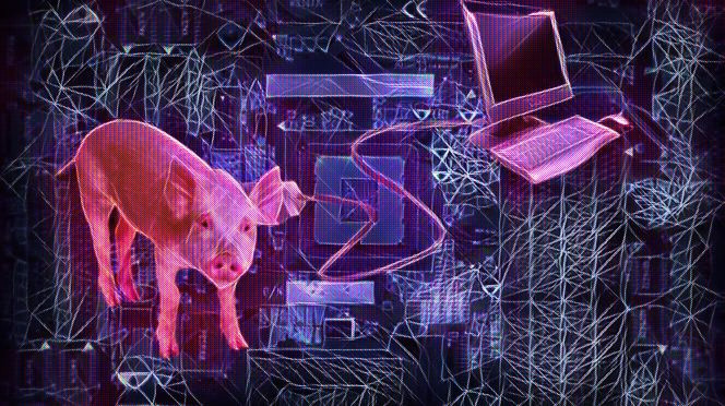 2779.jpg