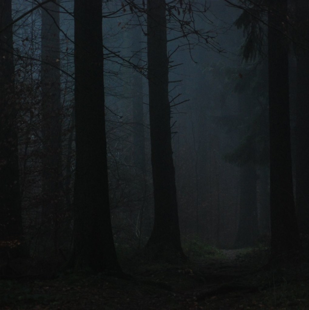 creepyforest.jpg