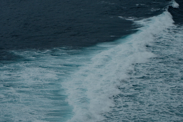 海洋