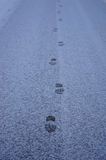 snow.jpg