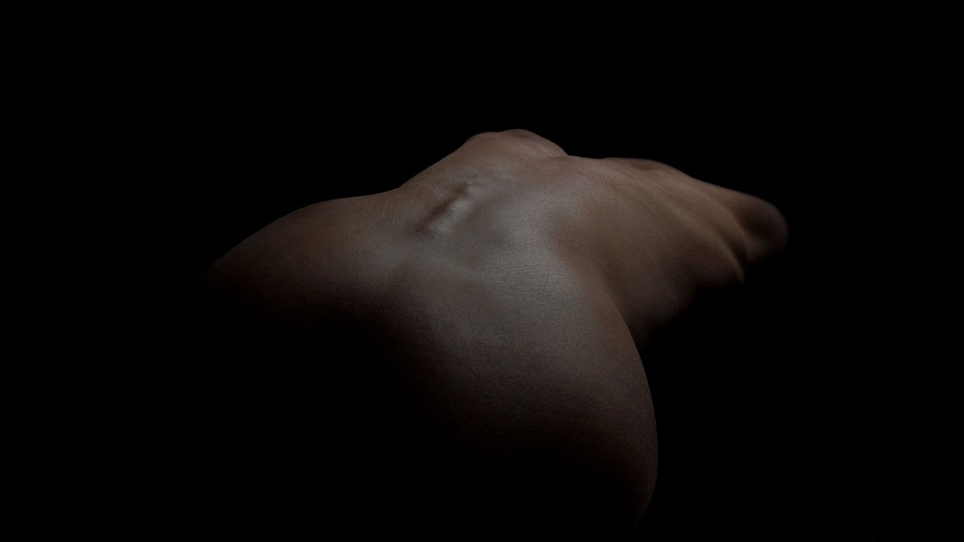 back-4764396_1920.jpg