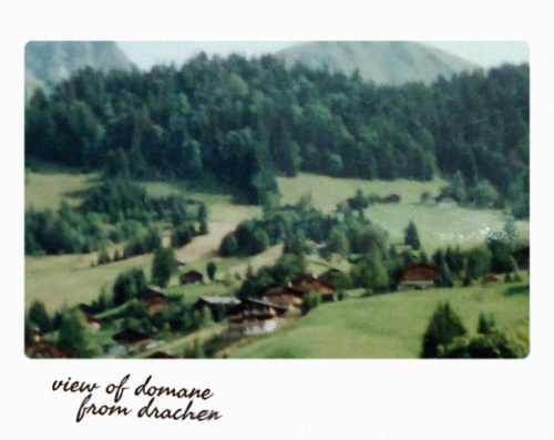 polaroid.jpg
