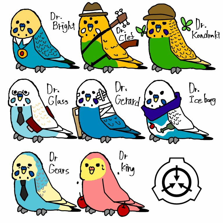職員インコ