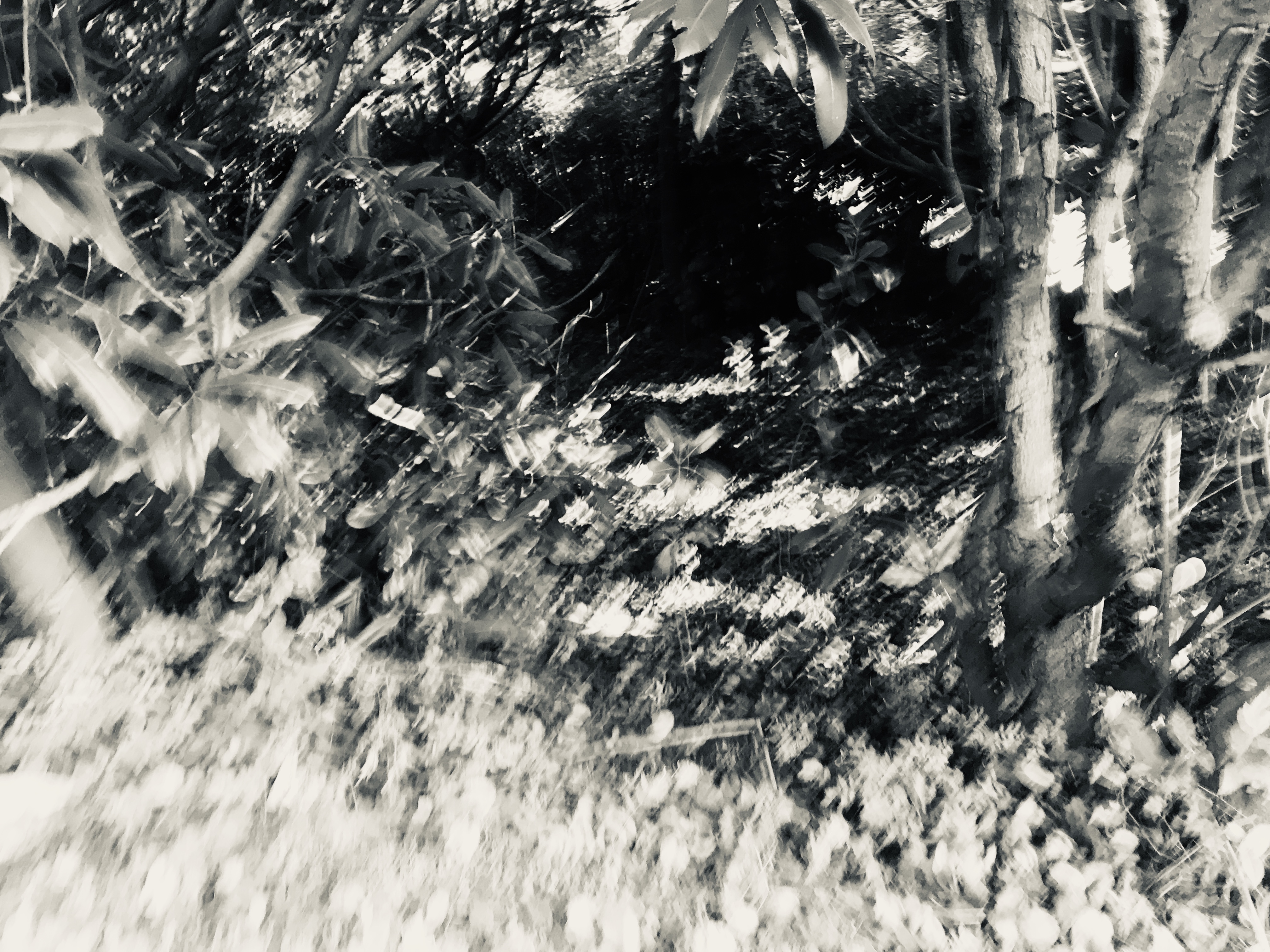Files 1