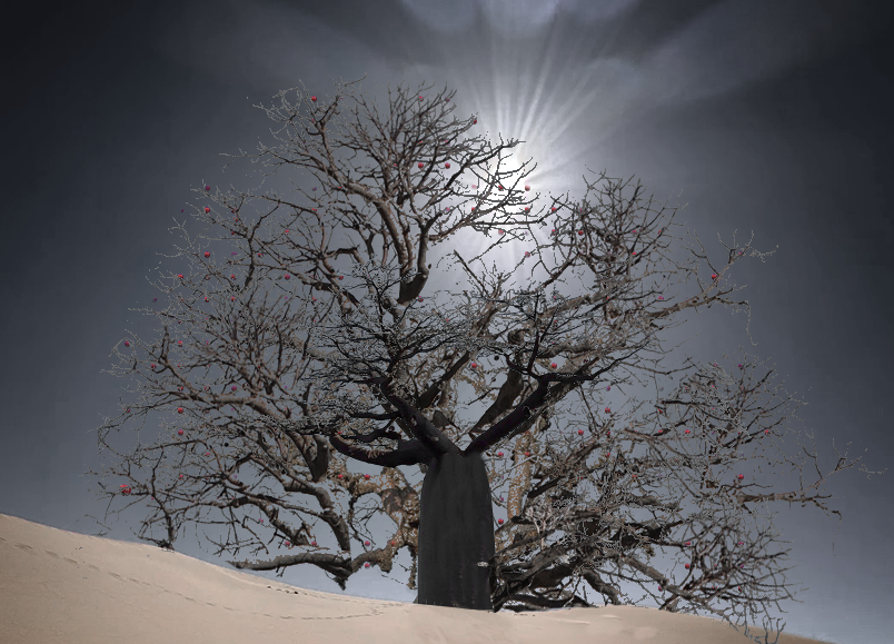 tree.PNG
