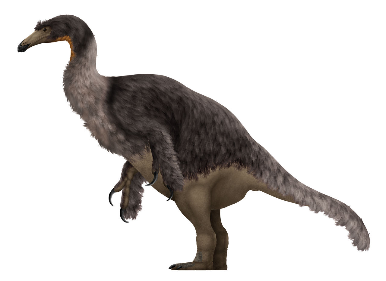 Duonychus_Restoration.png