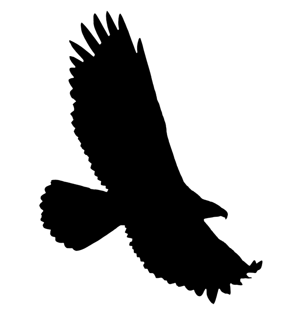 eagle.png
