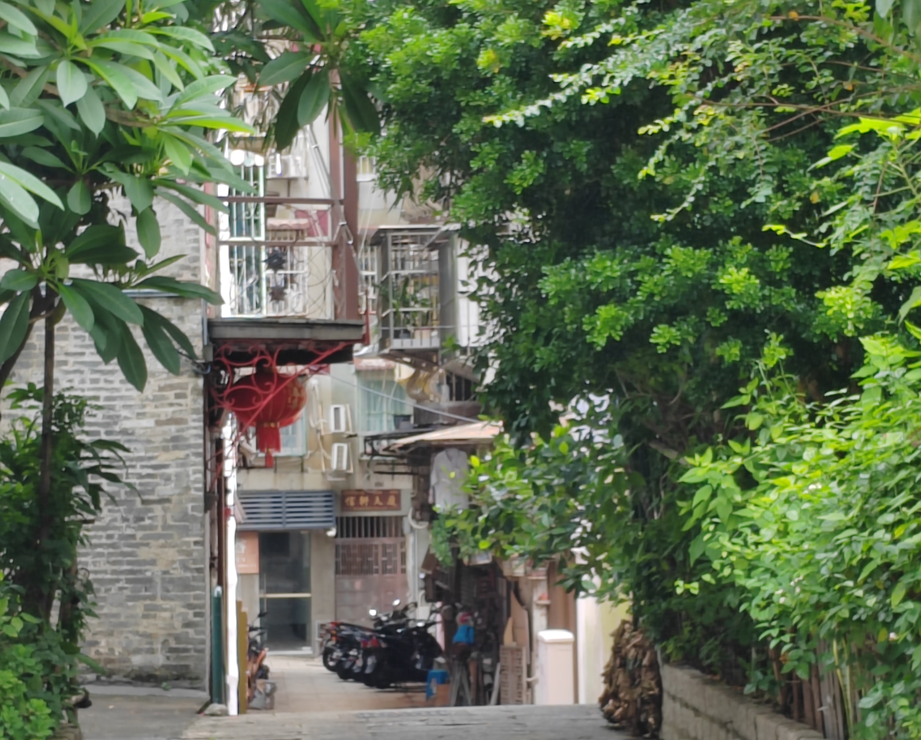 alley_entry.jpg
