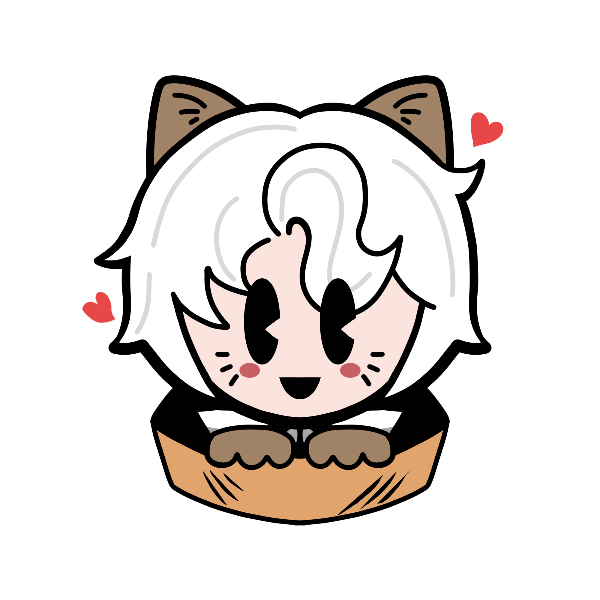 猫猫.png