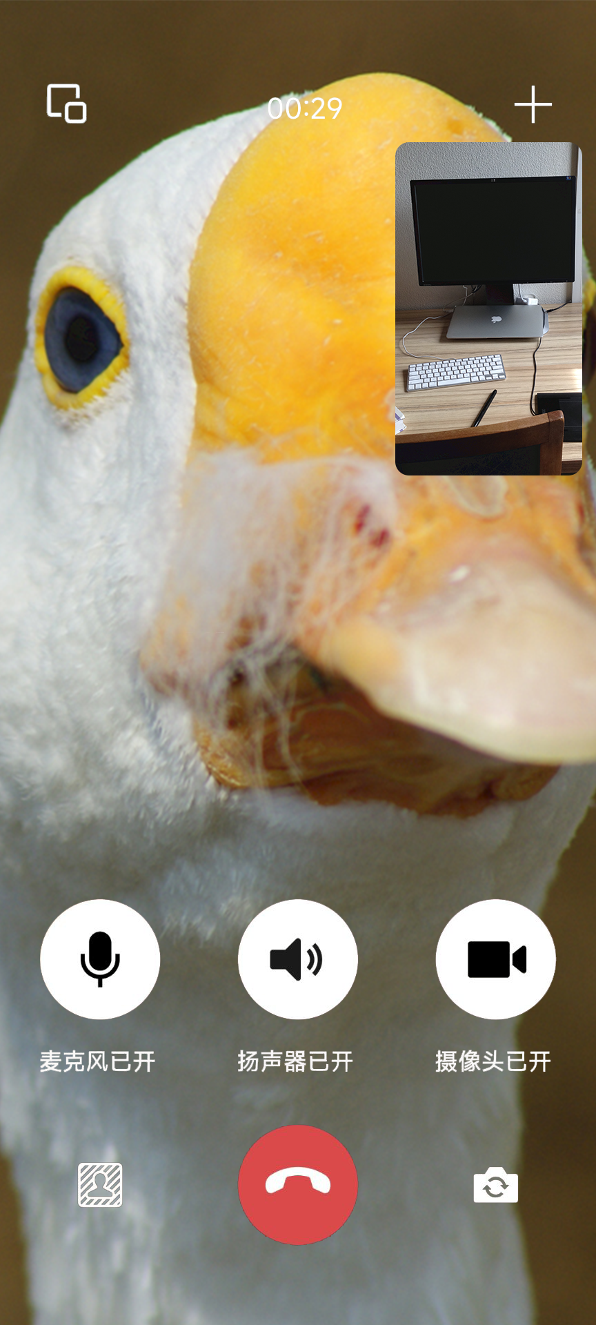 phonecall