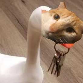 猫头鹅