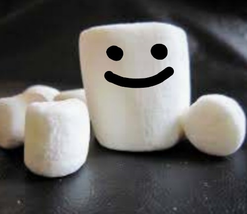 Friendly Marshmallow