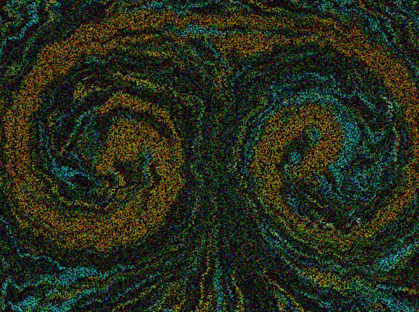 OP.png