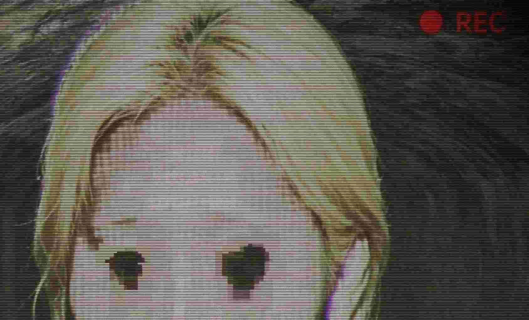 rec2.6.jpg