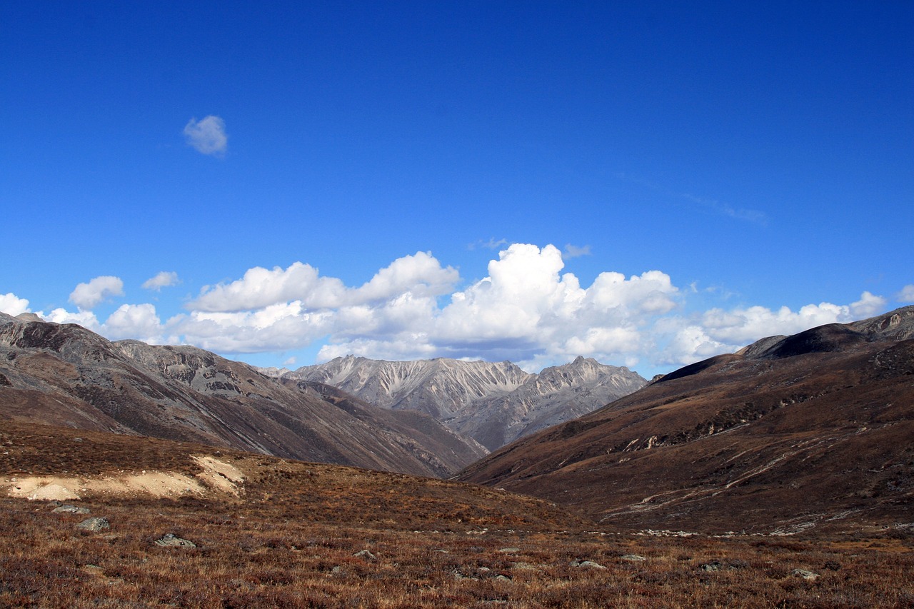 sichuan-1627842_1280.jpg