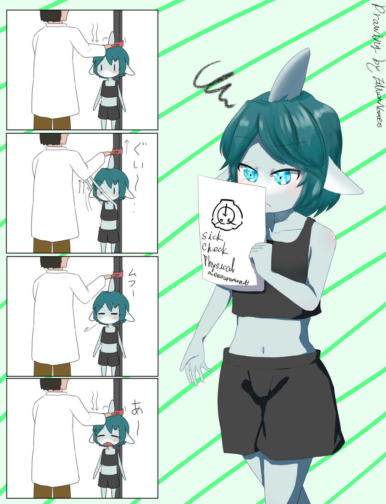 Koga-sintaisokutei