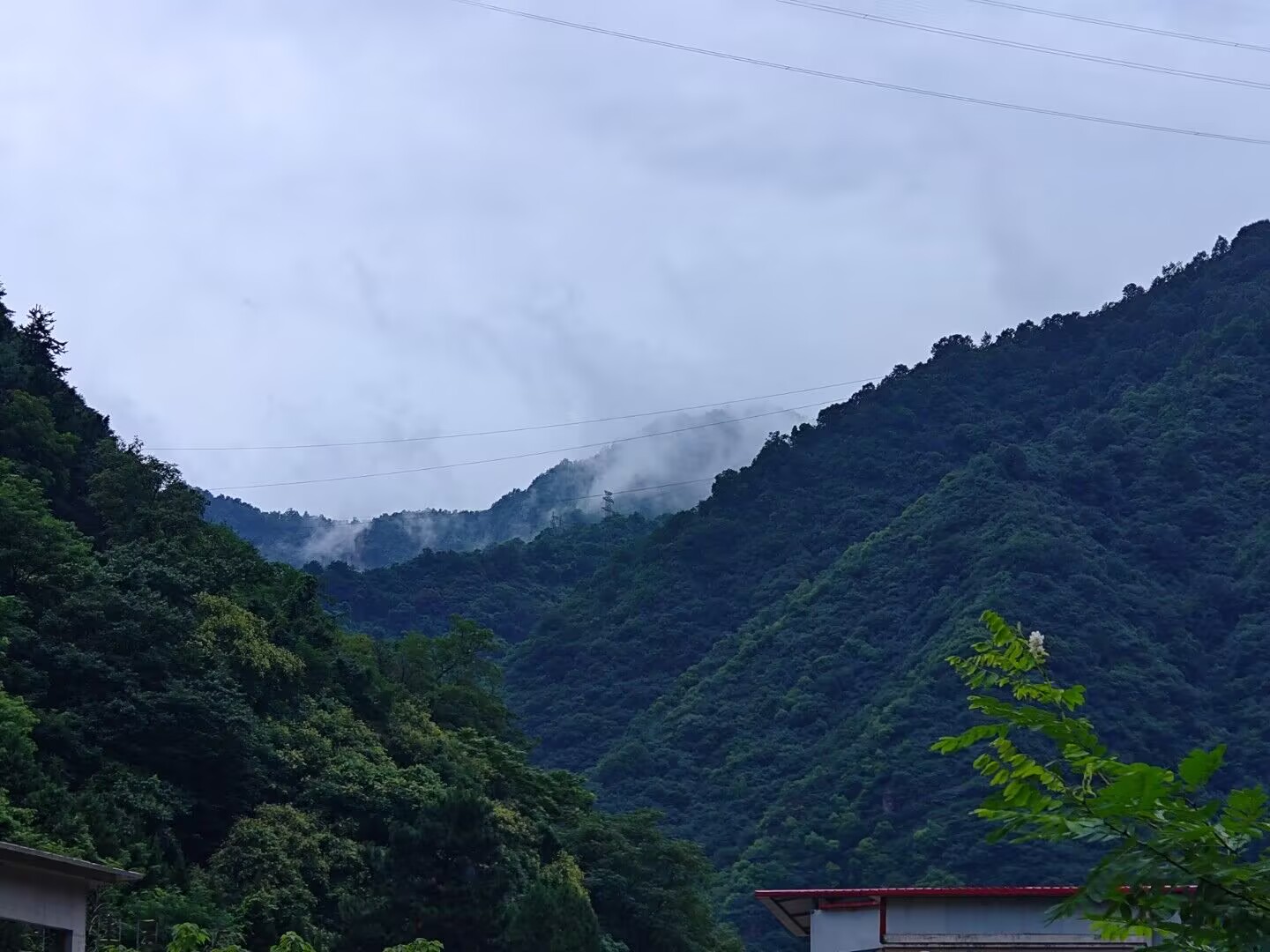 xiaozhongnan.jpg